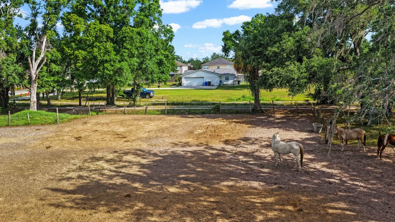 5614 WATSON RD, RIVERVIEW, FL — photo 4