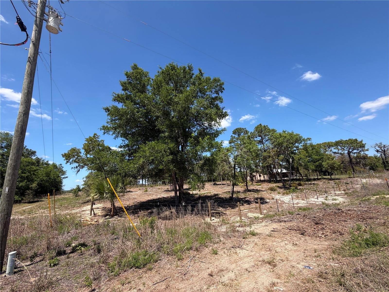 TBD SW 169TH CT #18, OCALA, FL — photo 2