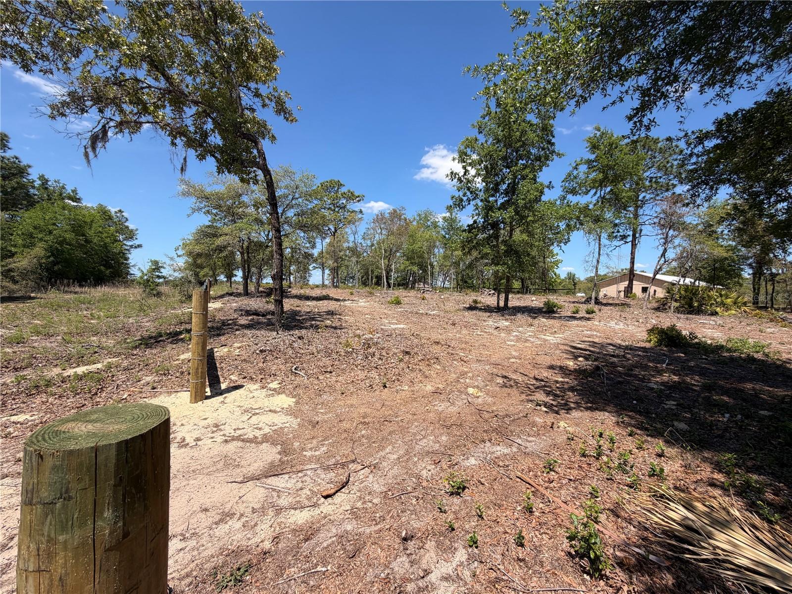 TBD SW 169TH CT #18, OCALA, FL — photo 4