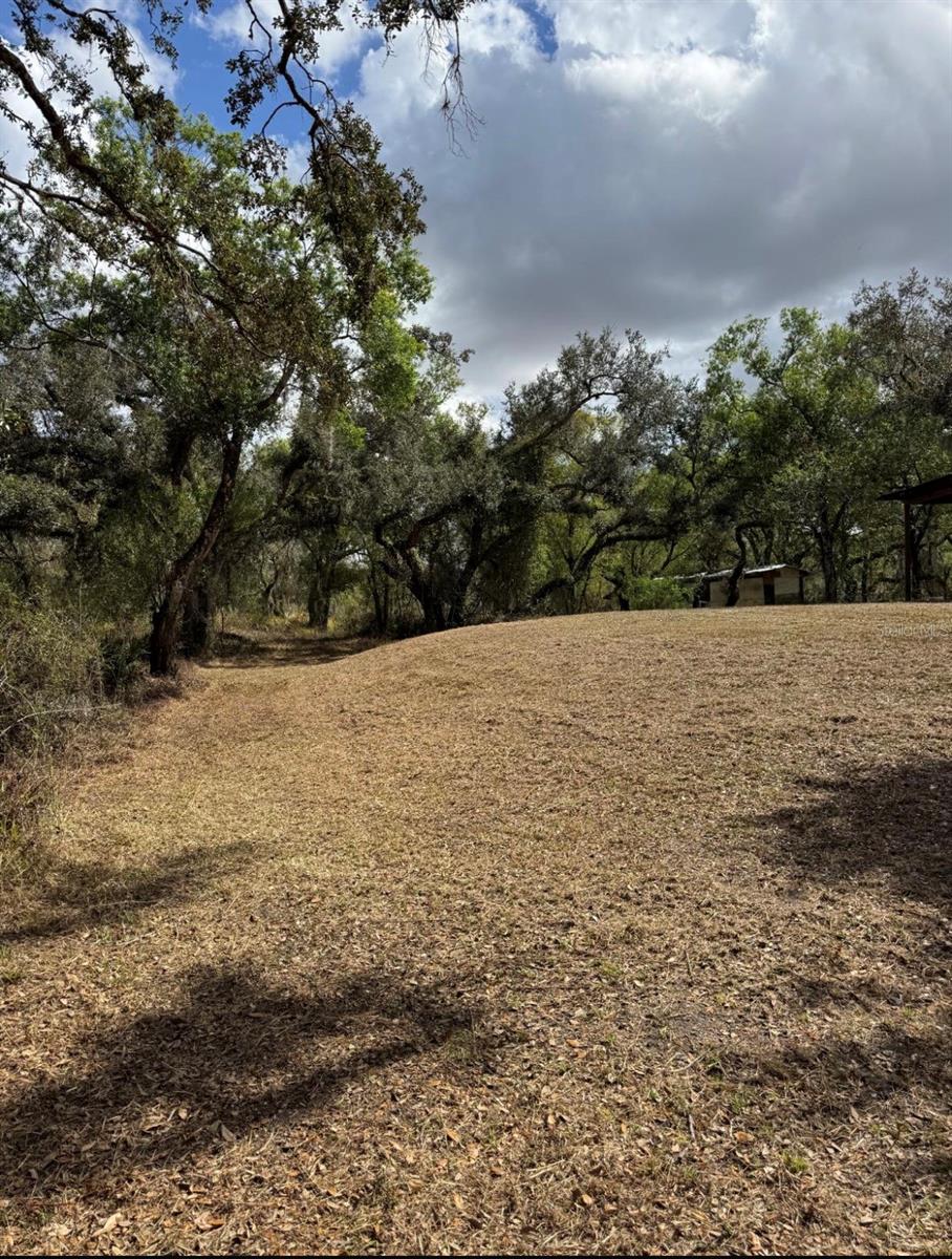 36564 SINGLETARY RD, MYAKKA CITY, FL — photo 16