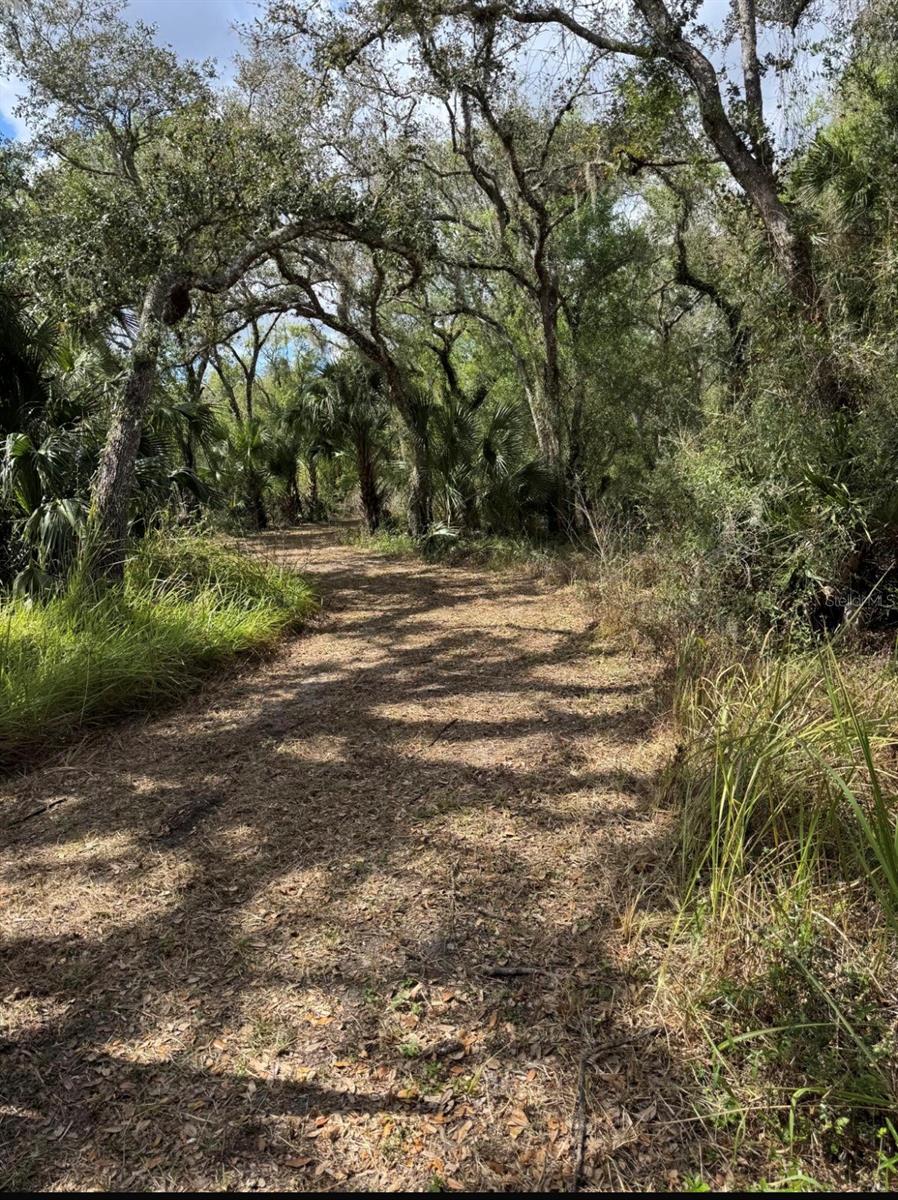 36564 SINGLETARY RD, MYAKKA CITY, FL — photo 17