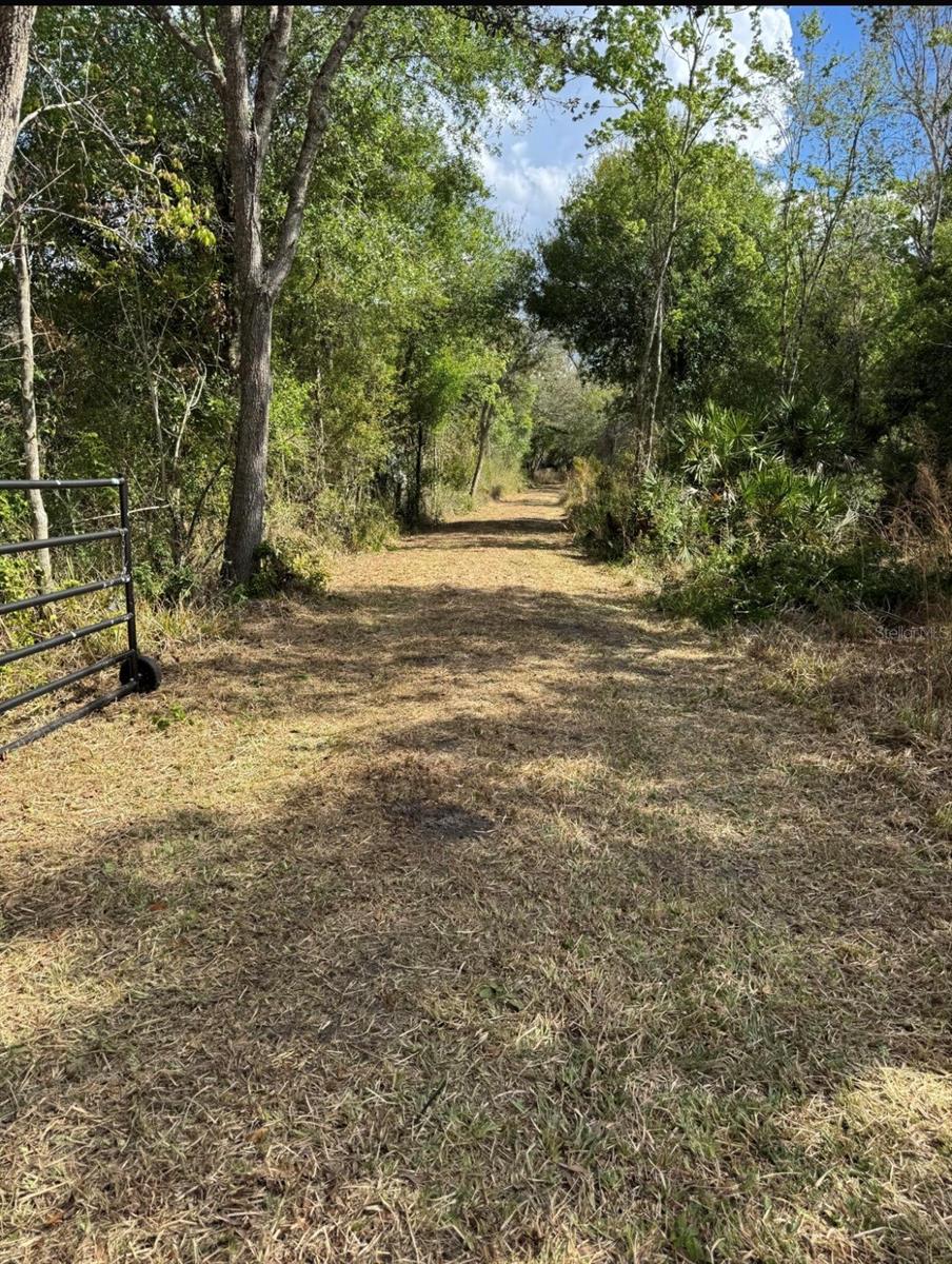 36564 SINGLETARY RD, MYAKKA CITY, FL — photo 20