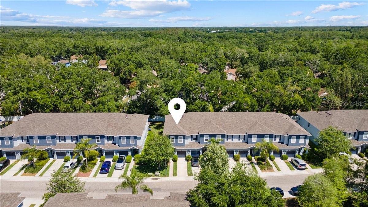 4445 AMBERLY OAKS CT, TAMPA, FL — photo 7