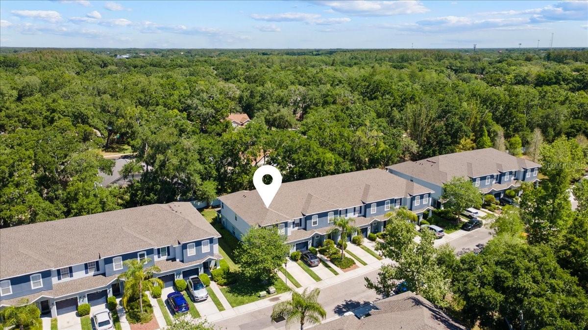 4445 AMBERLY OAKS CT, TAMPA, FL — photo 8
