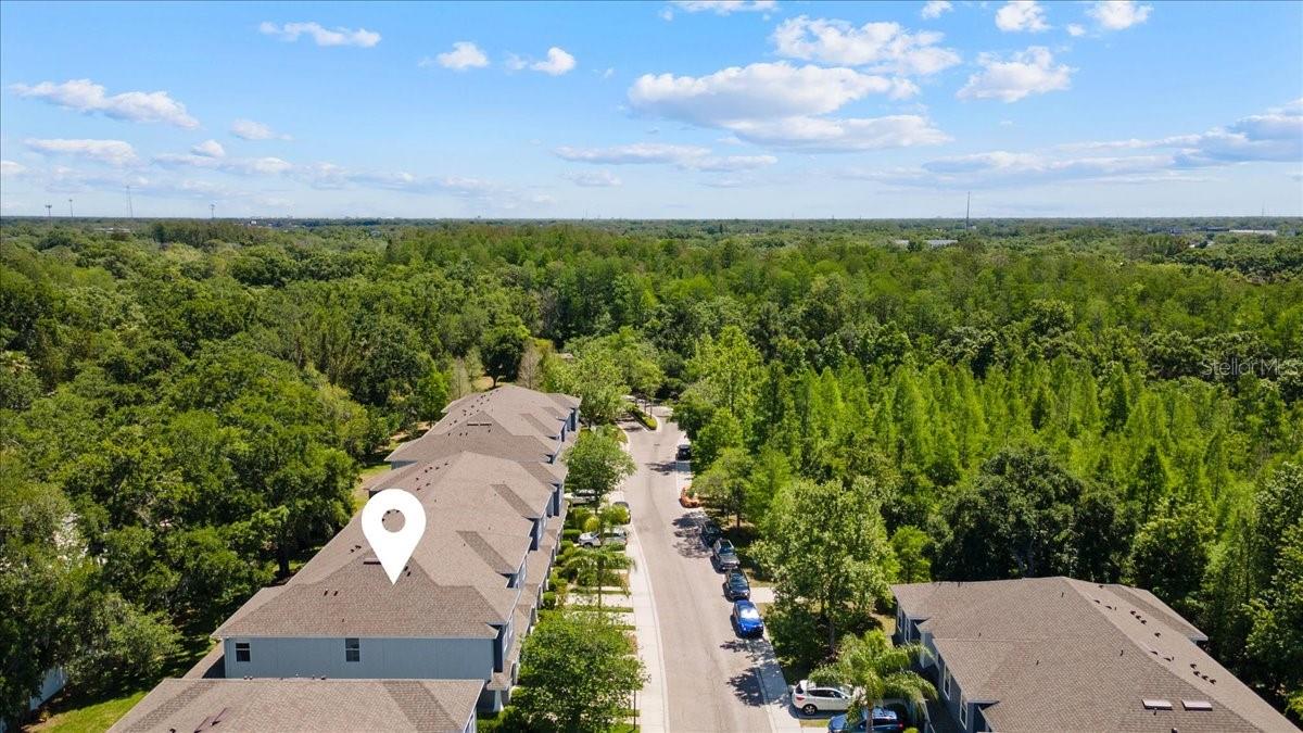 4445 AMBERLY OAKS CT, TAMPA, FL — photo 11