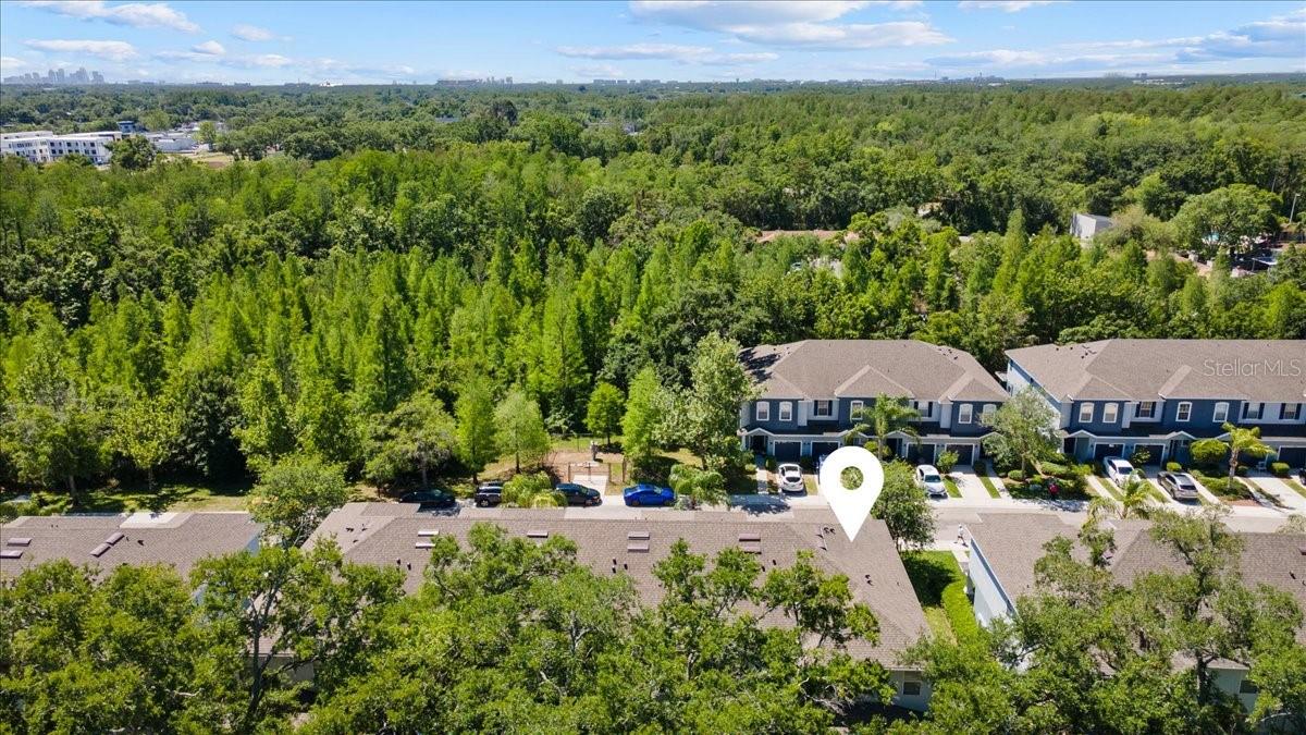 4445 AMBERLY OAKS CT, TAMPA, FL — photo 12