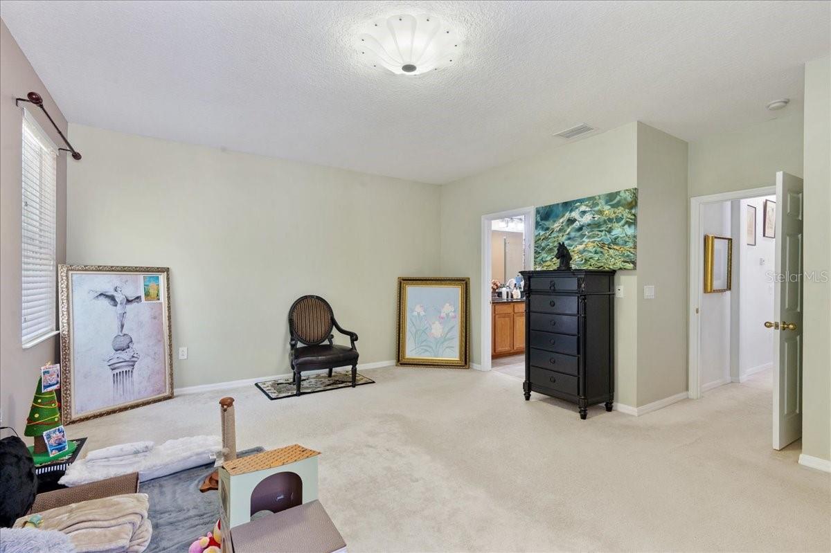 4445 AMBERLY OAKS CT, TAMPA, FL — photo 34