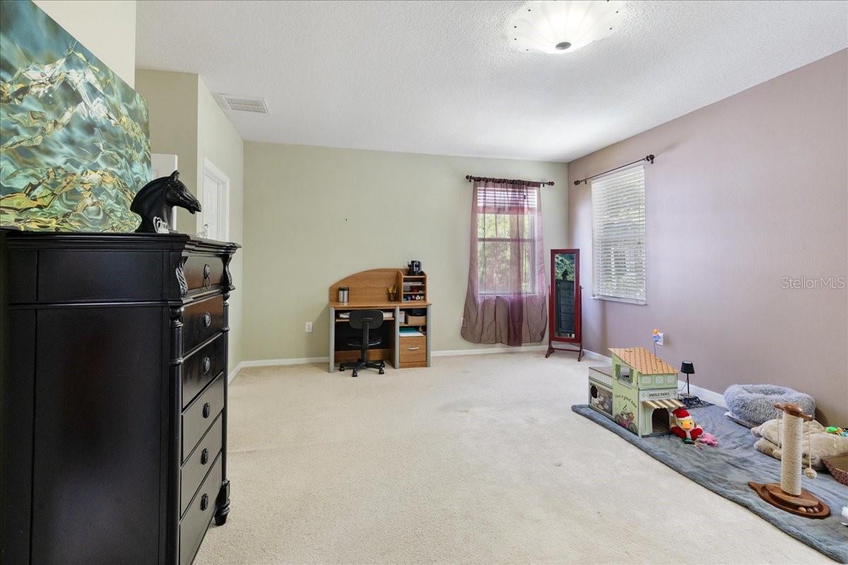 4445 AMBERLY OAKS CT, TAMPA, FL — photo 37