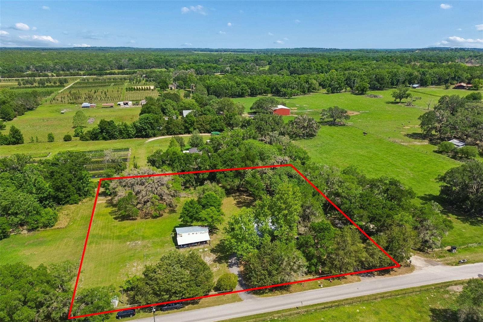 17114 BRITTLE RD, BROOKSVILLE, FL — photo 49