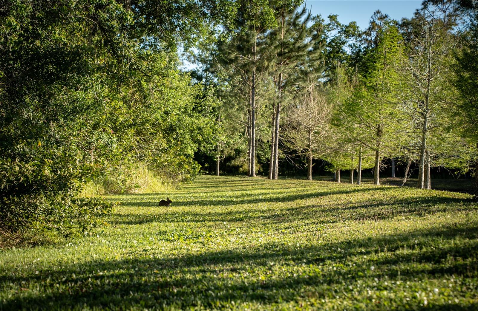 19101 MAGNOLIA FARMS LN, ODESSA, FL — photo 78