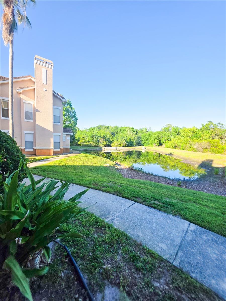 10431 VILLA VIEW CIR #10431, TAMPA, FL — photo 14