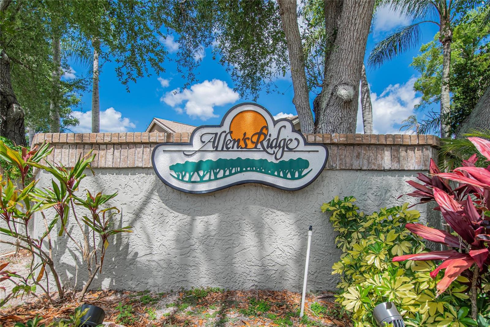 1668 ALLENS RIDGE DR N, PALM HARBOR, FL — photo 42