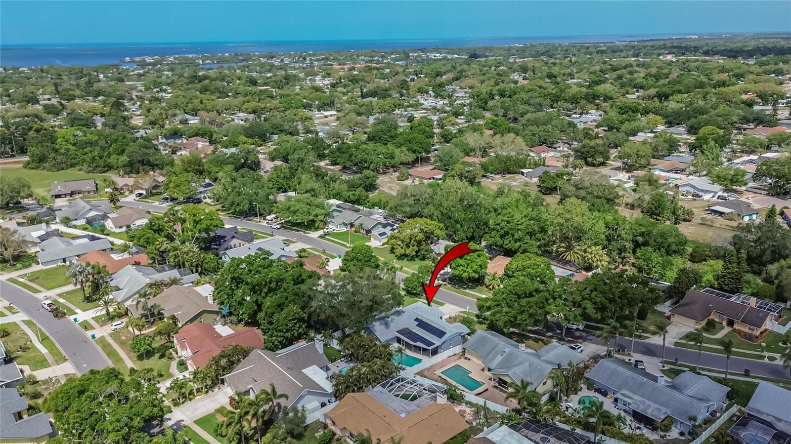 1668 ALLENS RIDGE DR N, PALM HARBOR, FL — photo 45