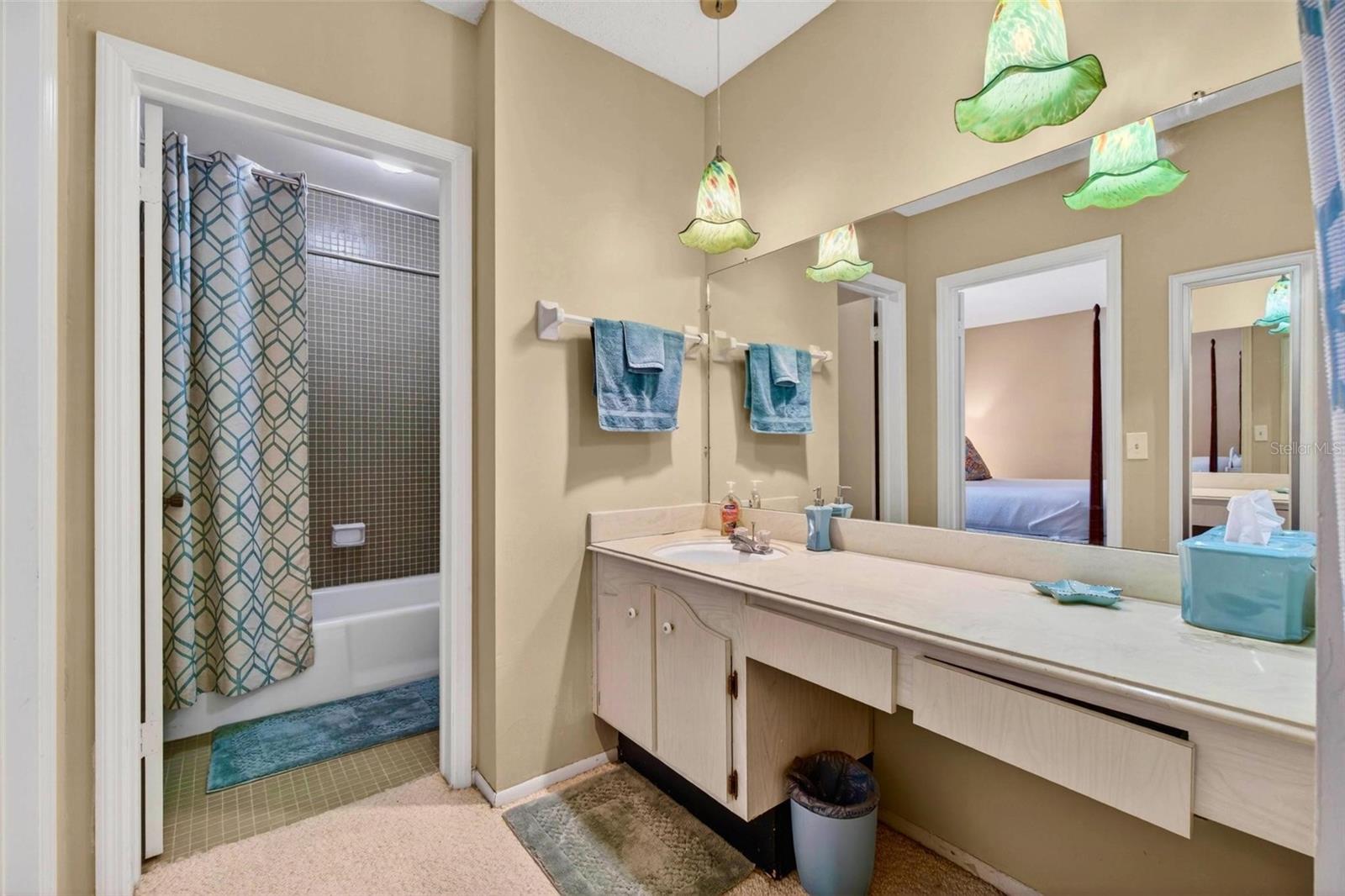 701 POINSETTIA RD #308, BELLEAIR, FL — photo 14