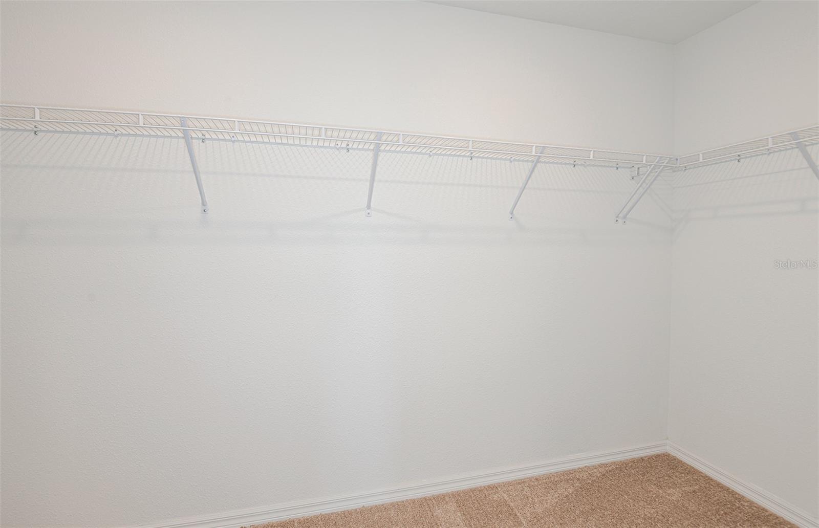 9885 TRELLIS VINE WAY, PARRISH, FL — photo 12