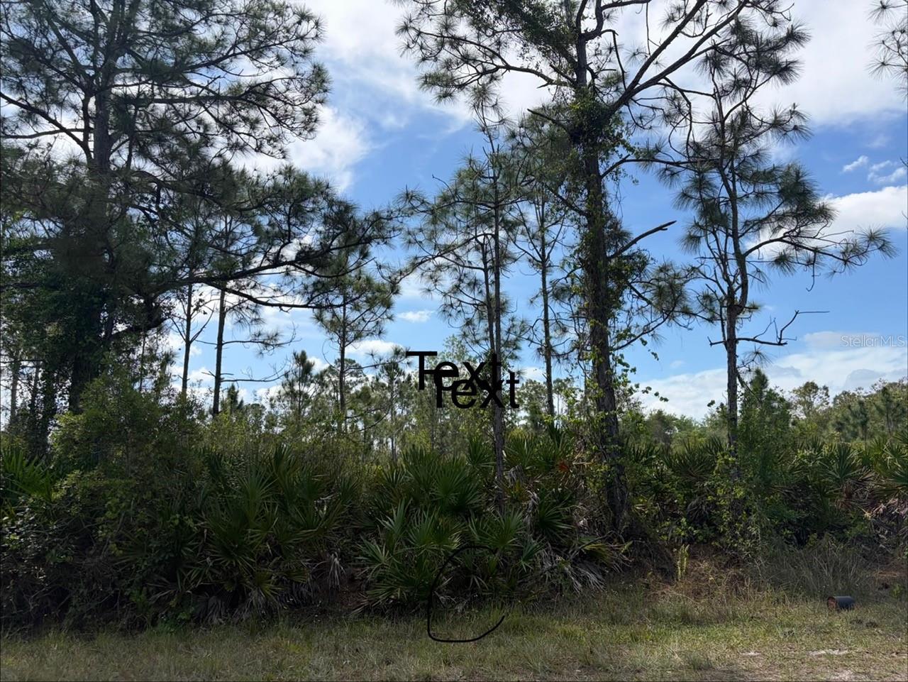 28131 RAMIRO DR, PUNTA GORDA, FL