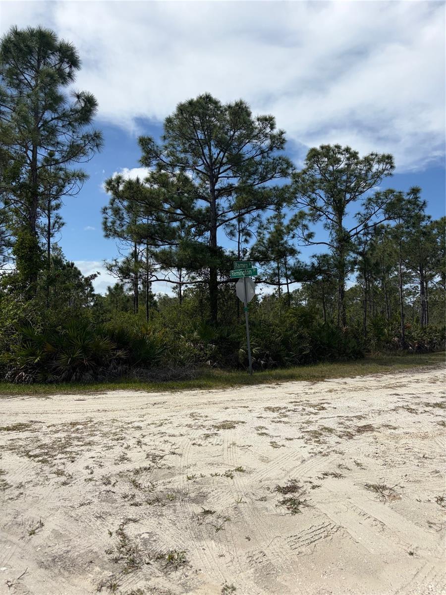 28131 RAMIRO DR, PUNTA GORDA, FL — photo 2