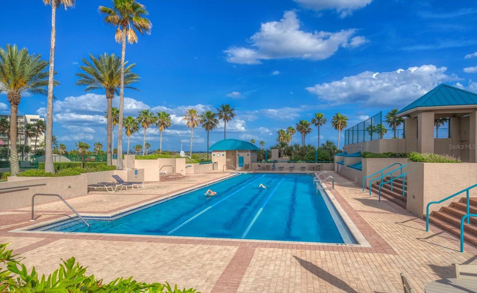 1560 GULF BLVD #304, CLEARWATER, FL — photo 36