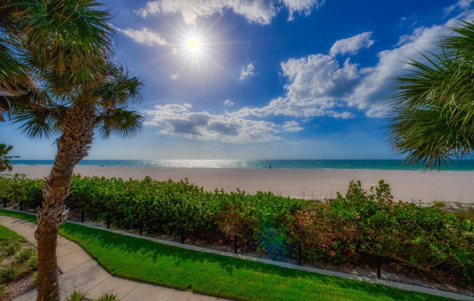 1560 GULF BLVD #304, CLEARWATER, FL — photo 40