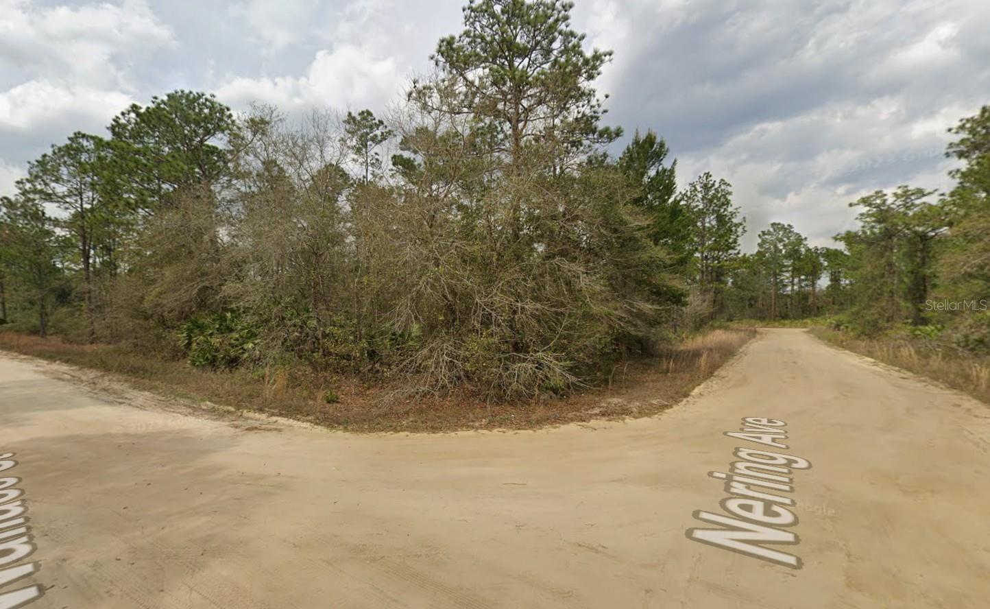 LOT 18 WALLACE ST, INTERLACHEN, FL