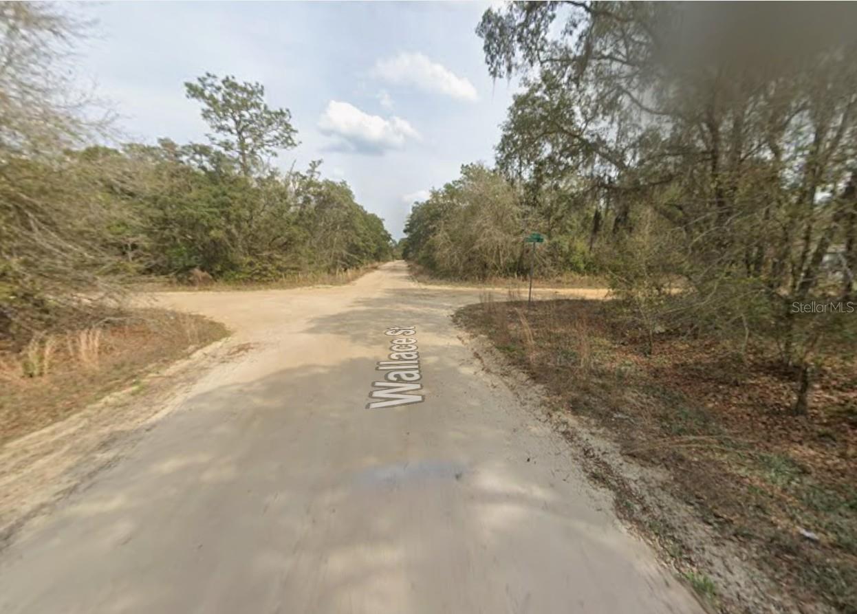 LOT 18 WALLACE ST, INTERLACHEN, FL — photo 2