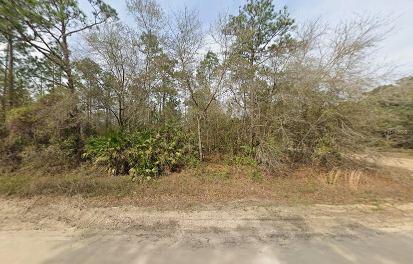 LOT 18 WALLACE ST, INTERLACHEN, FL — photo 3