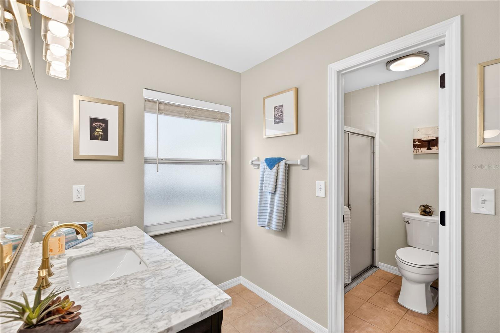 11736 CHAPELLE CT, CLERMONT, FL — photo 41