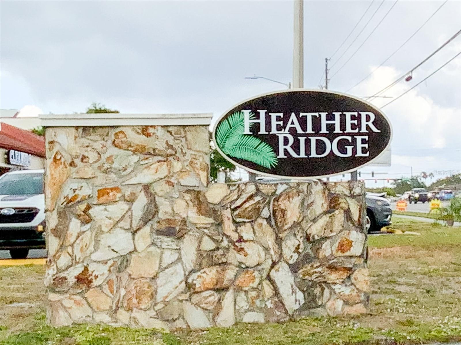 1370 HEATHER RIDGE BLVD #204, DUNEDIN, FL — photo 38
