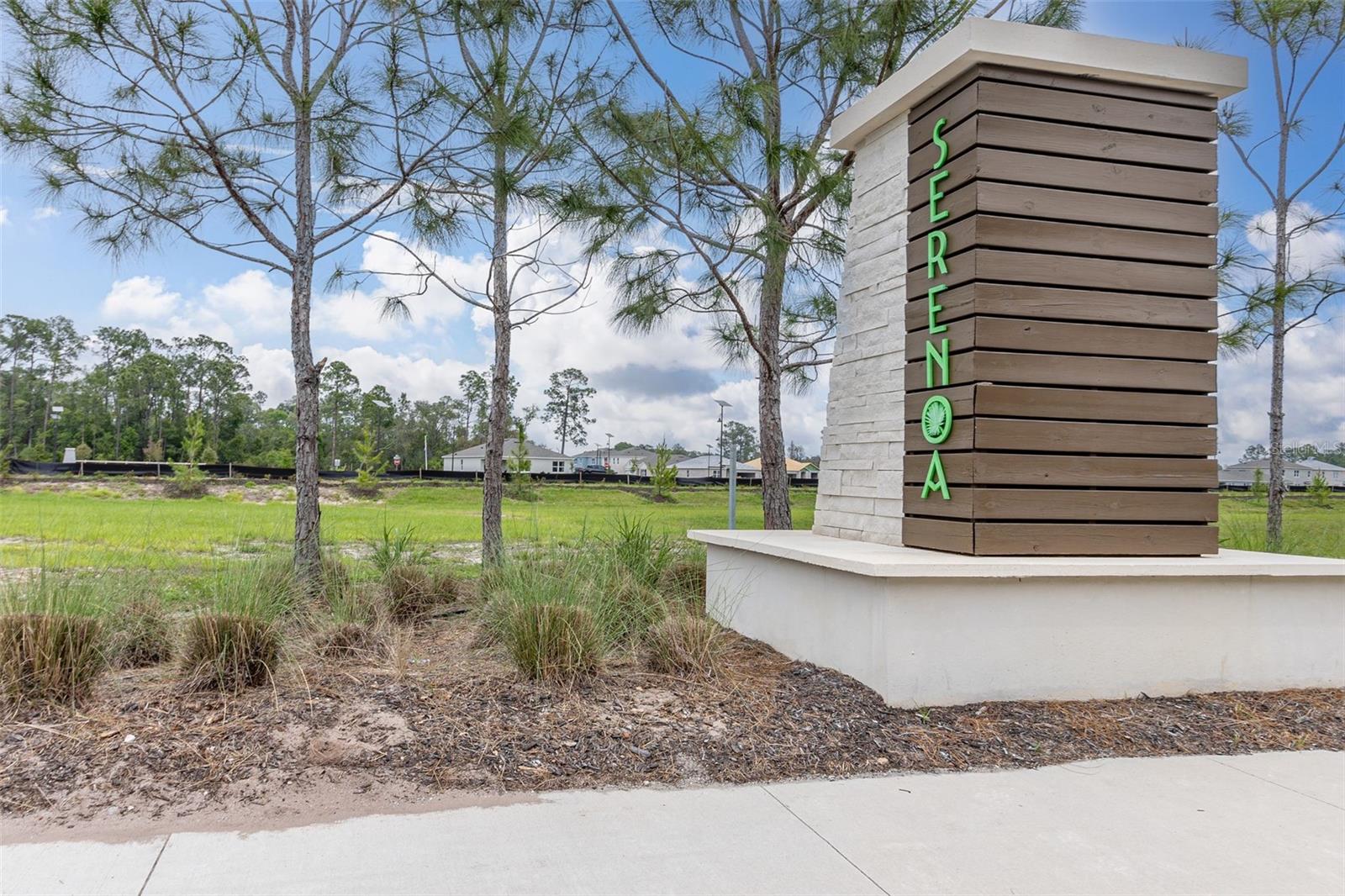 2933 DEERBERRY LN, CLERMONT, FL — photo 57