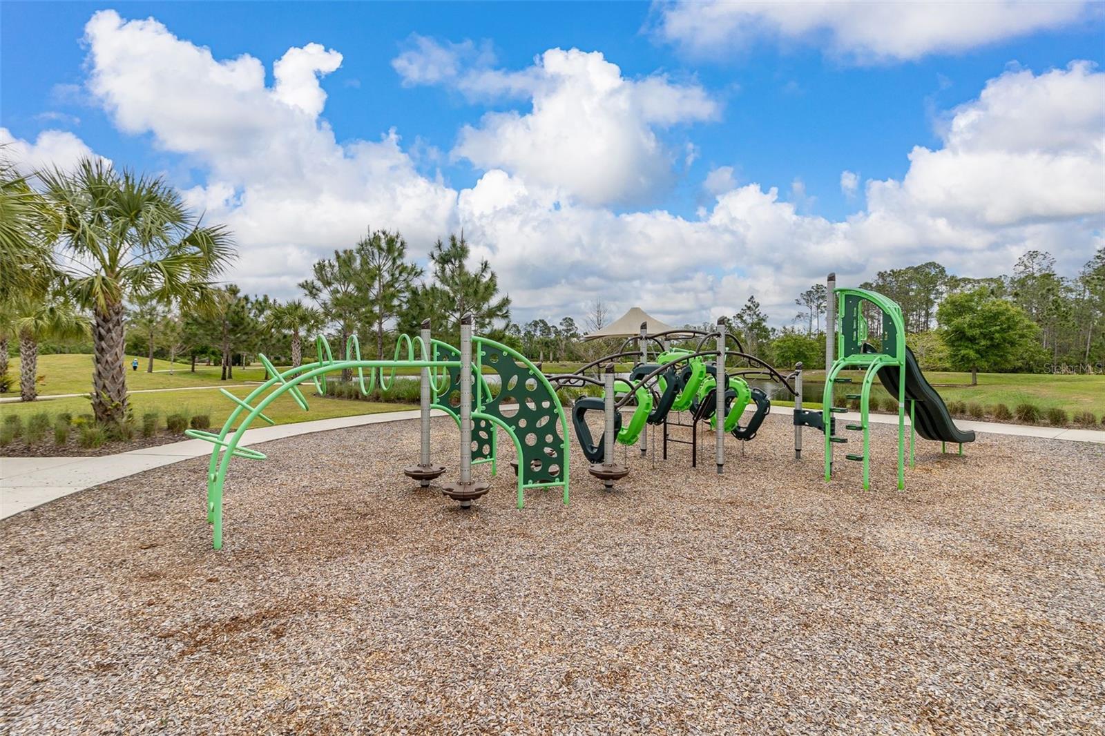 2933 DEERBERRY LN, CLERMONT, FL — photo 81