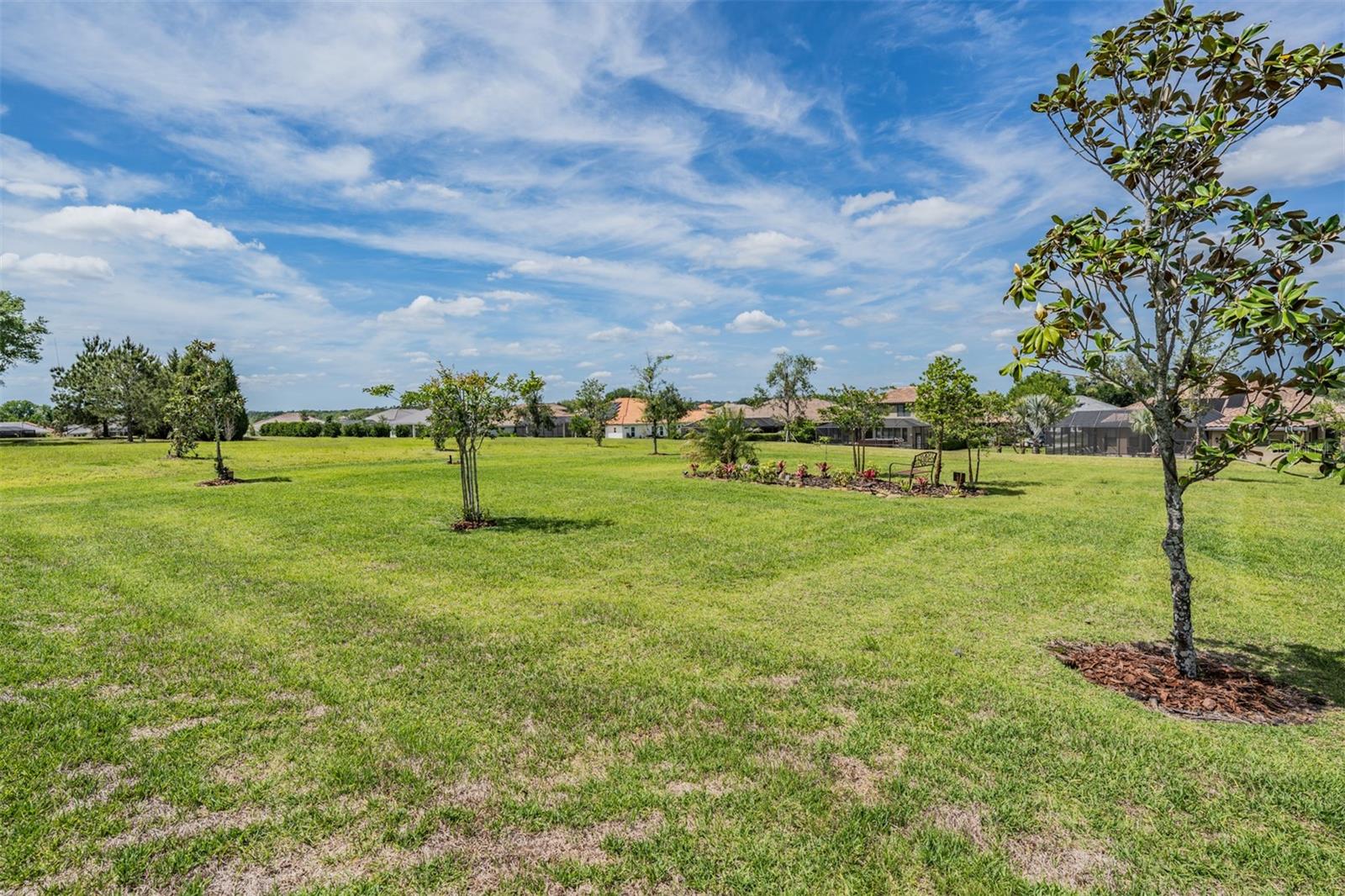 13915 CARRYBACK DR, DADE CITY, FL — photo 54