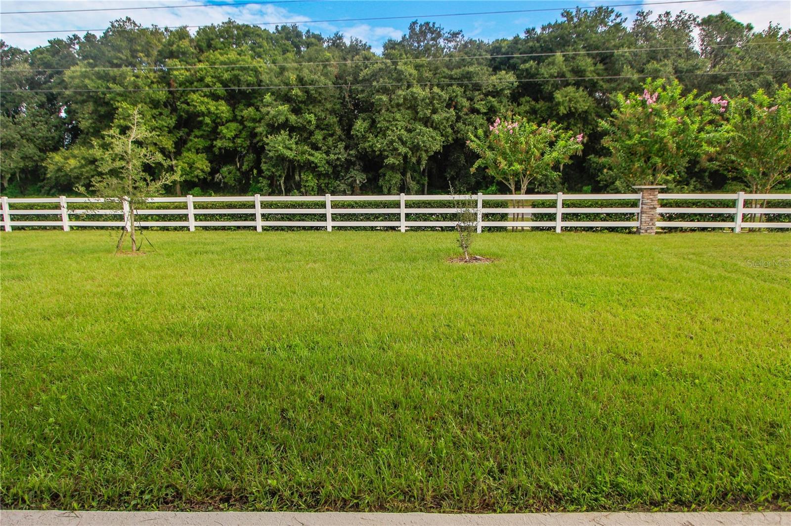 5208 MEADOW SONG DR, OKAHUMPKA, FL — photo 13