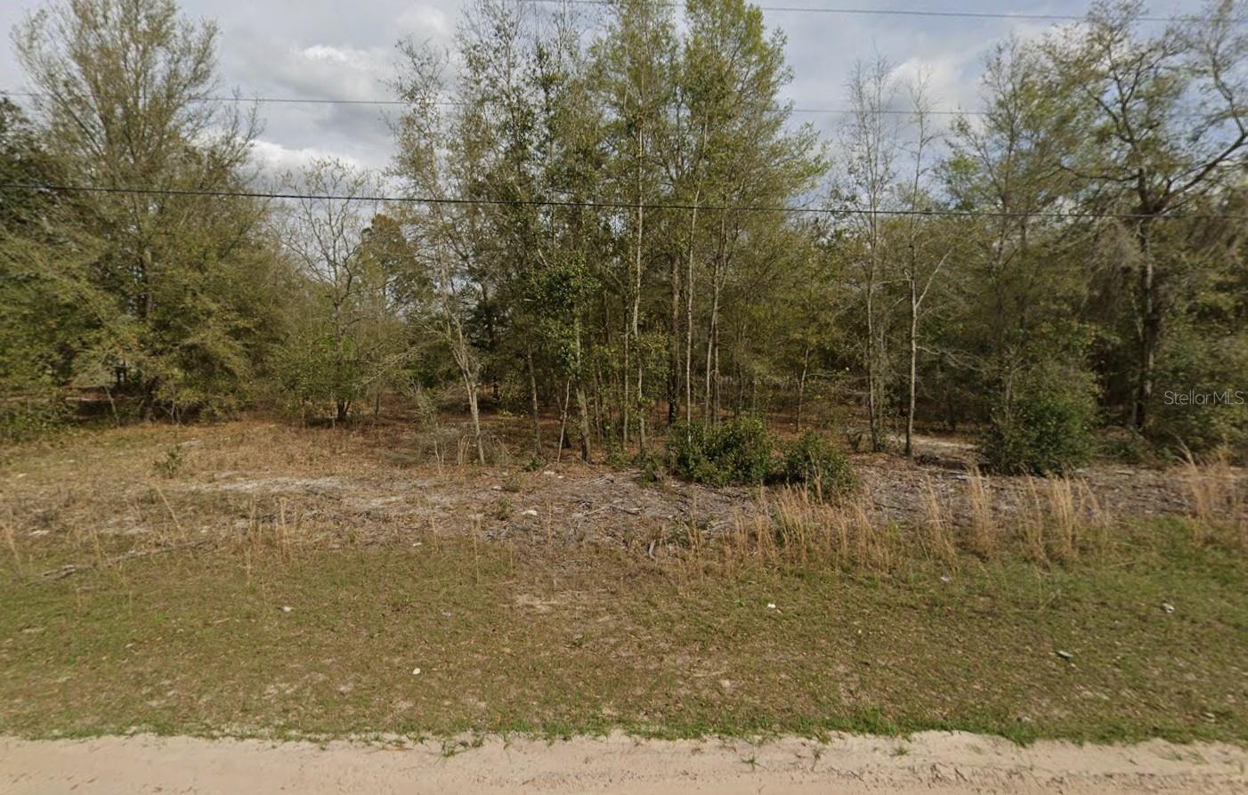 LOT 15 MARION AVE, INTERLACHEN, FL