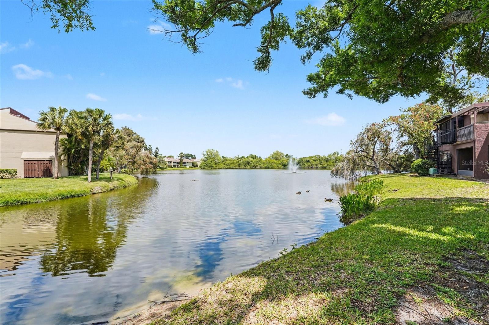 10755 VILLAGE CLUB CIR N #101, ST PETERSBURG, FL — photo 27