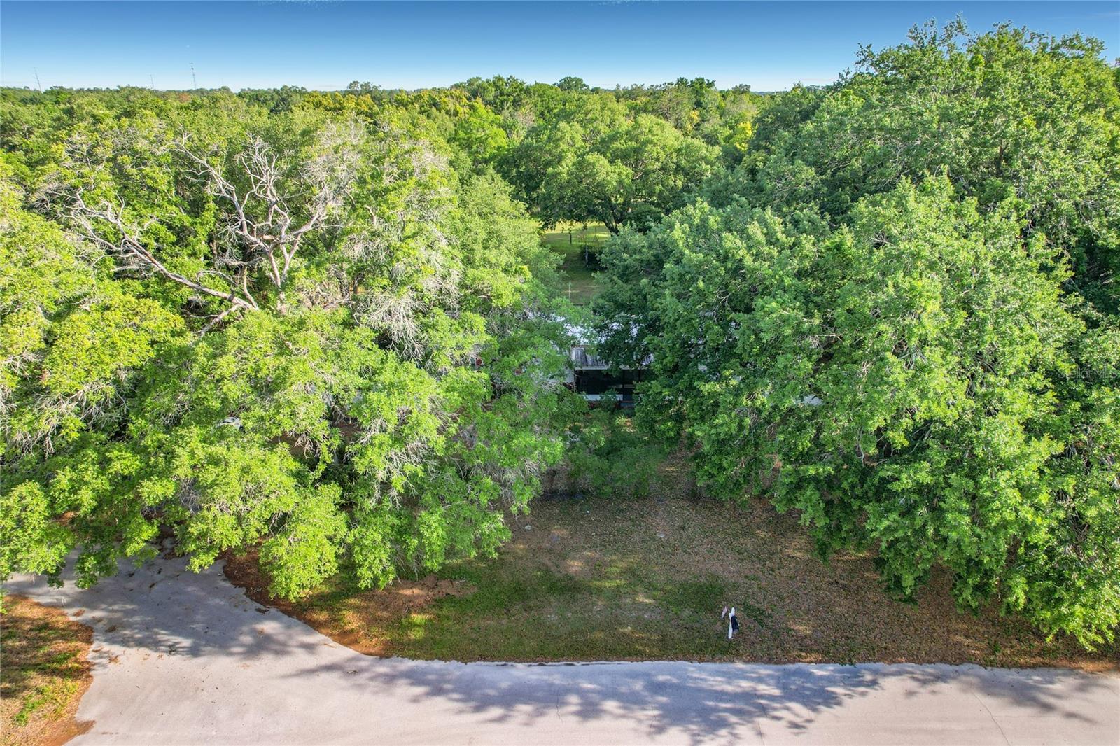 821 IRENE DR, AUBURNDALE, FL — photo 4