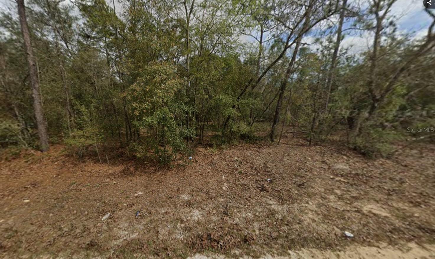 LOT 28 JANET AVE, INTERLACHEN, FL