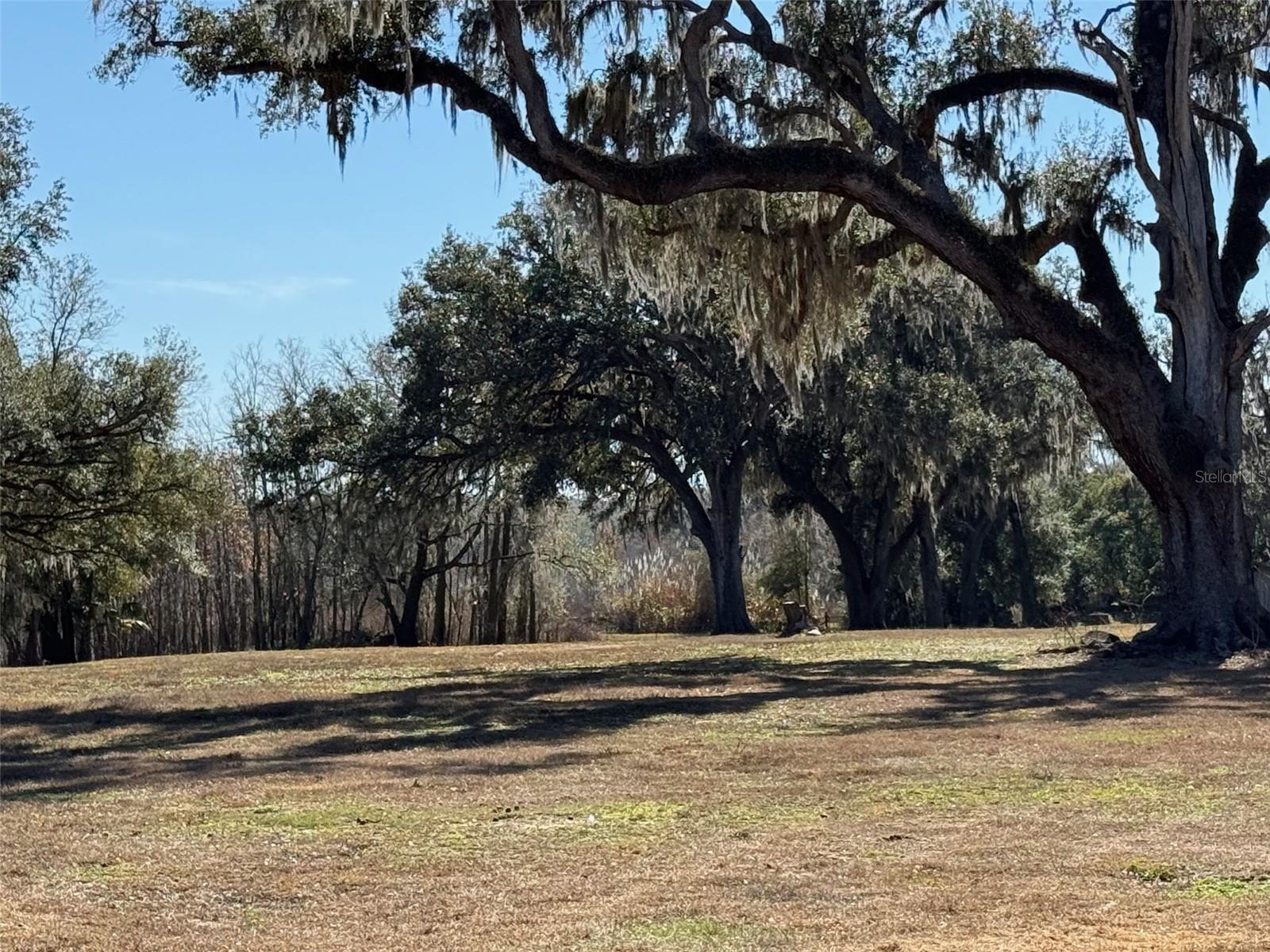 37214 HESTER RD, DADE CITY, FL — photo 3