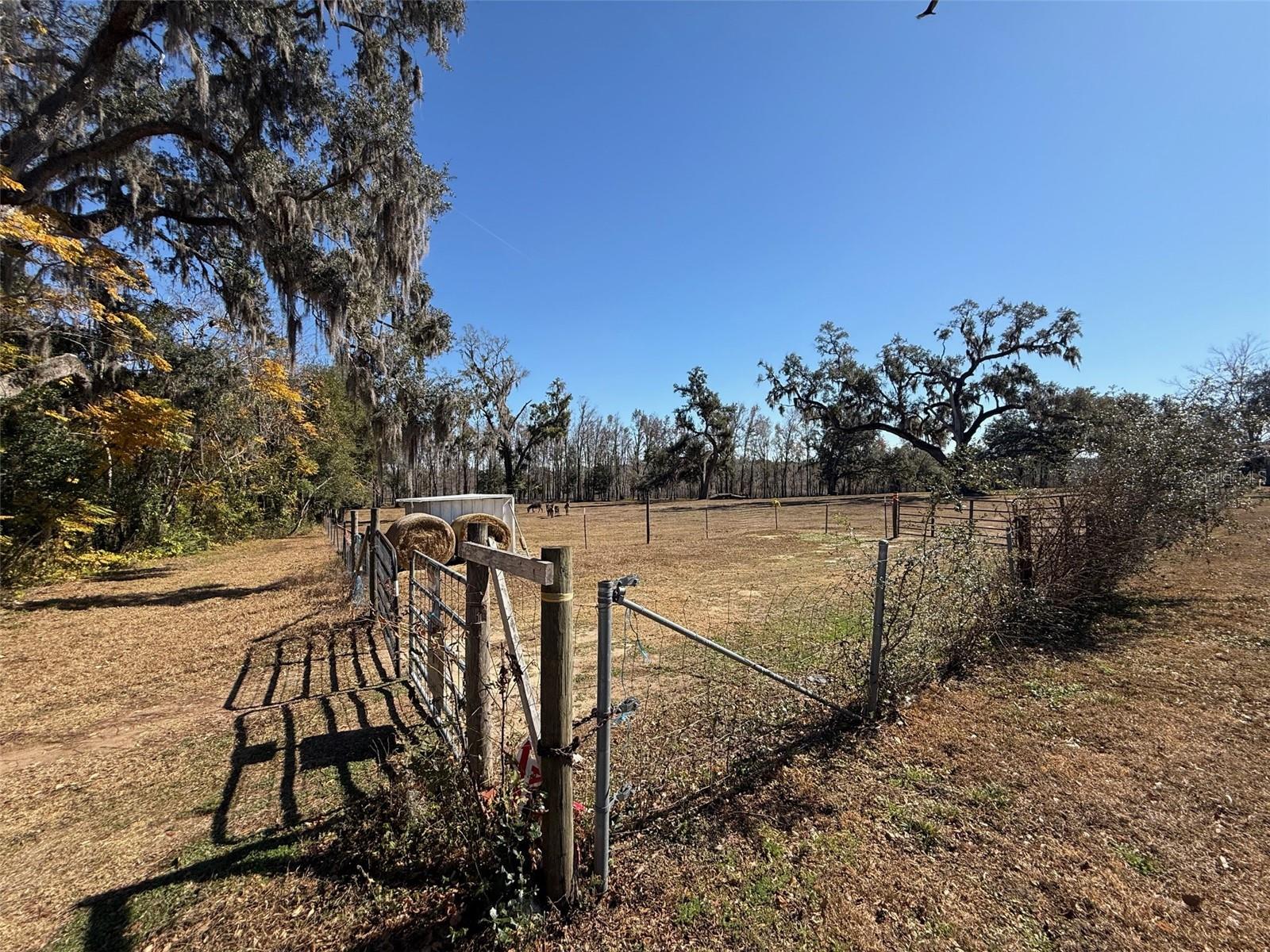 37214 HESTER RD, DADE CITY, FL — photo 5