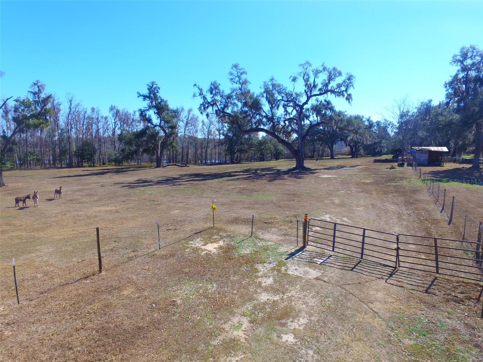 37214 HESTER RD, DADE CITY, FL — photo 9
