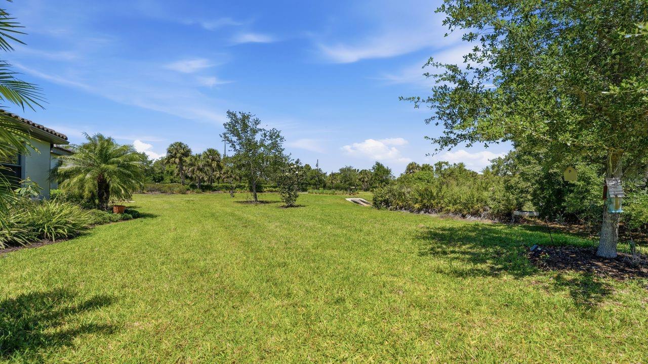 17007 BLUE RIDGE PL, BRADENTON, FL — photo 37