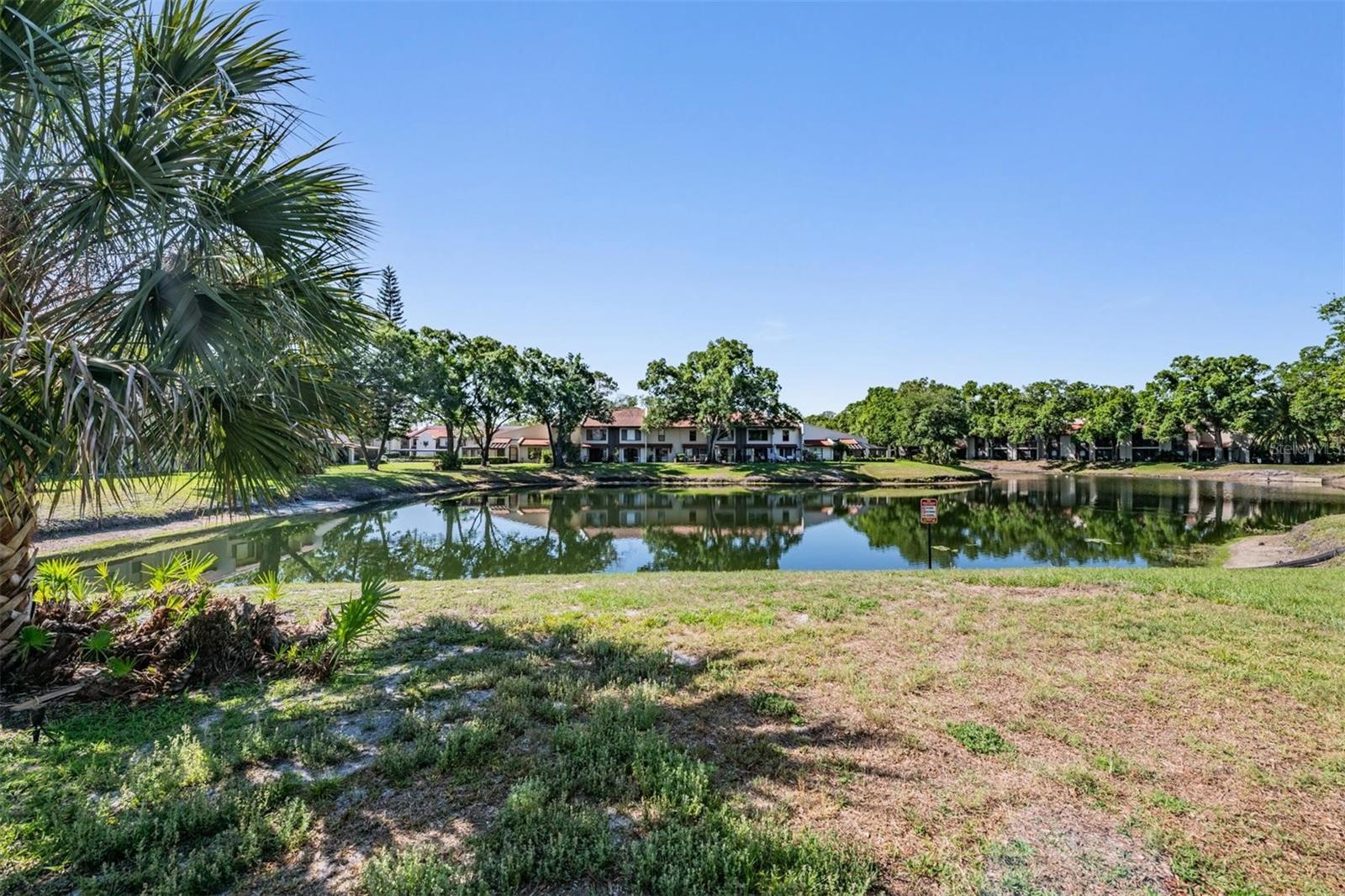 3505 TARPON WOODS BLVD #N401, PALM HARBOR, FL — photo 27