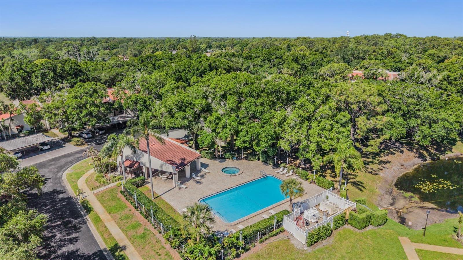 3505 TARPON WOODS BLVD #N401, PALM HARBOR, FL — photo 30