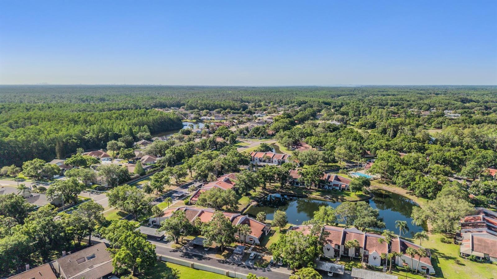 3505 TARPON WOODS BLVD #N401, PALM HARBOR, FL — photo 31