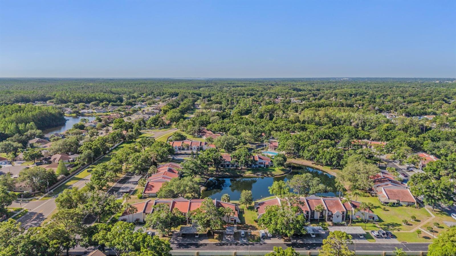 3505 TARPON WOODS BLVD #N401, PALM HARBOR, FL — photo 32