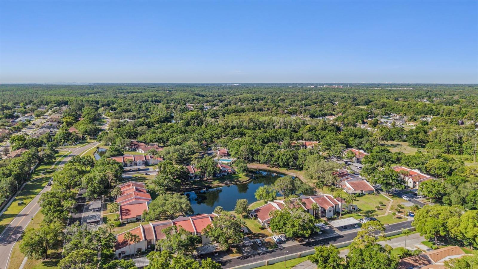 3505 TARPON WOODS BLVD #N401, PALM HARBOR, FL — photo 33