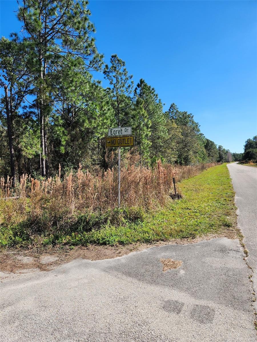 EGRET DR, FROSTPROOF, FL — photo 5