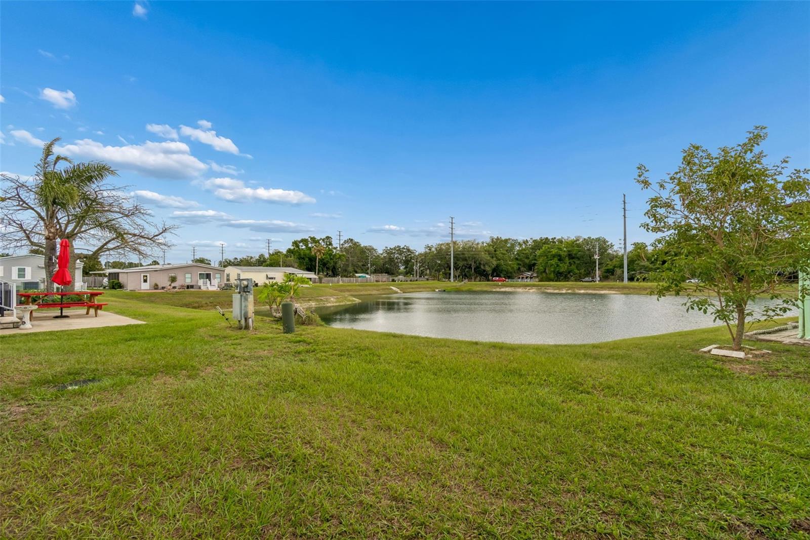 37644 PINATA AVE, ZEPHYRHILLS, FL — photo 8