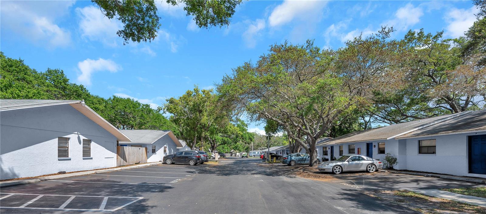 950 BELTREES ST, DUNEDIN, FL