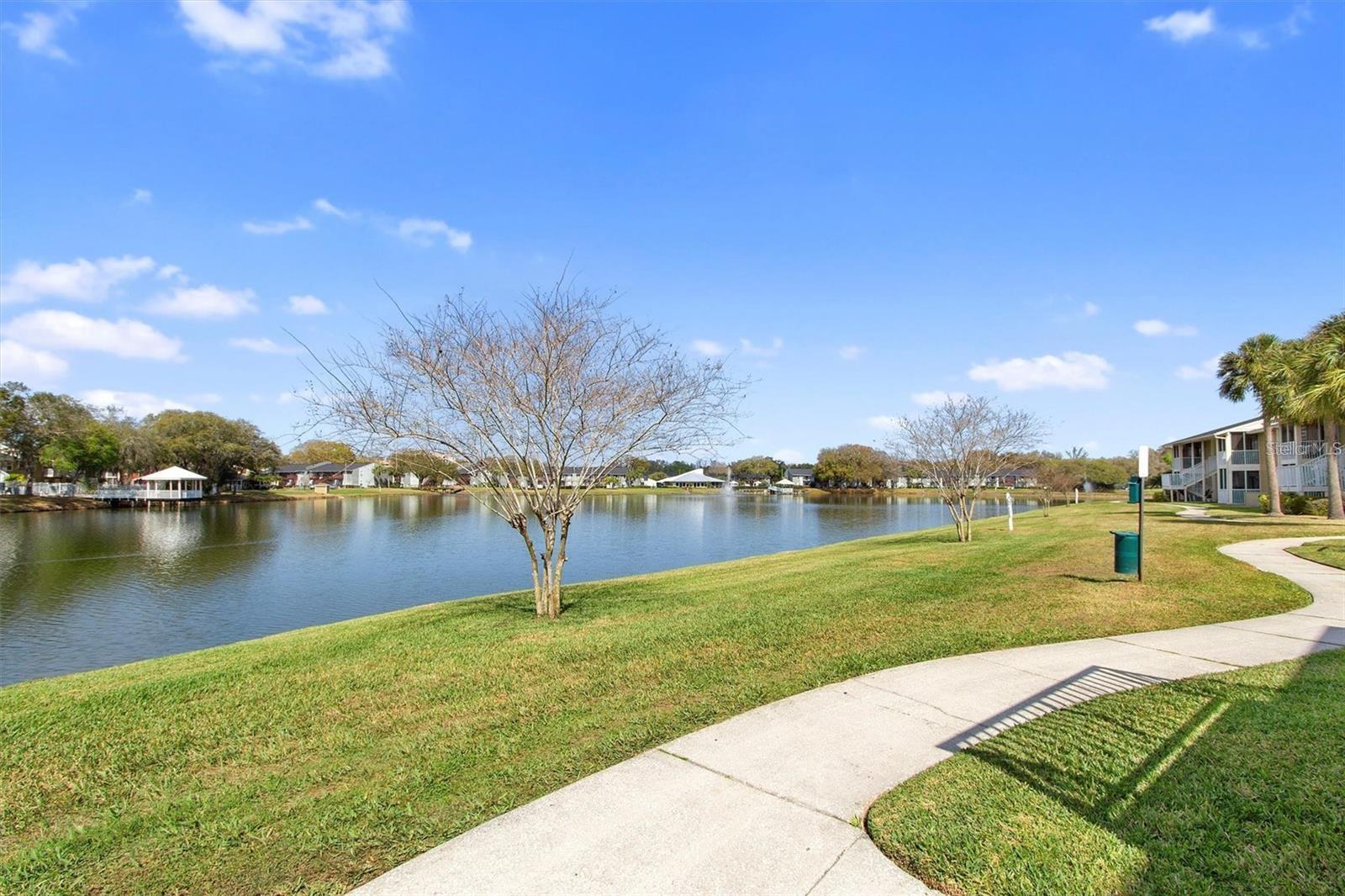 803 LAKE HAVEN SQ #101, BRANDON, FL — photo 20