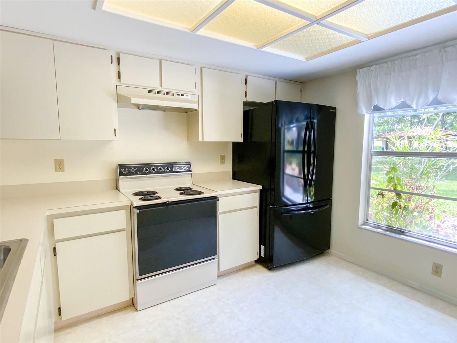 1125 MONTROSE PL, DUNEDIN, FL — photo 4
